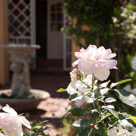 Roses And Pebbles B & B Guest House Klerksdorp Exterior photo
